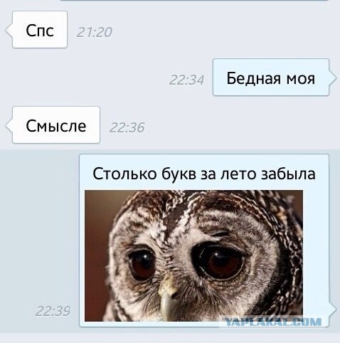Смешные комментарии из социальных сетей