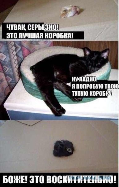 Застрявшие...