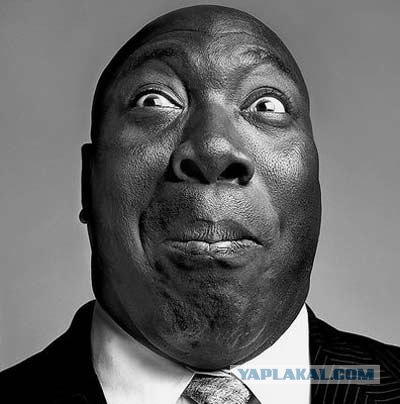 Вот это корма у дамочки!