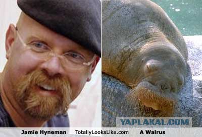 Двойники знаменитостей