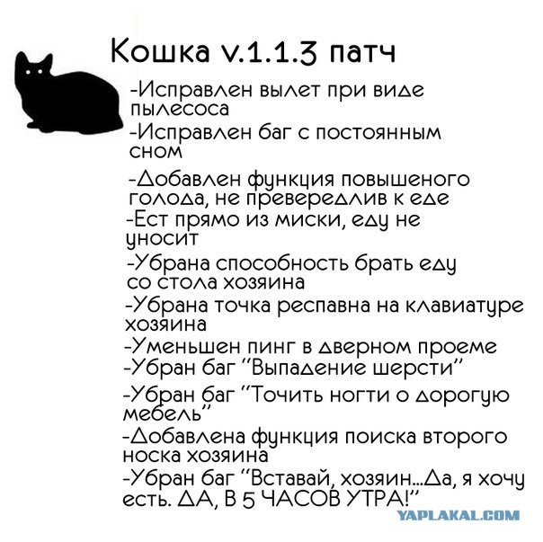 Весёлые картинки на субботу