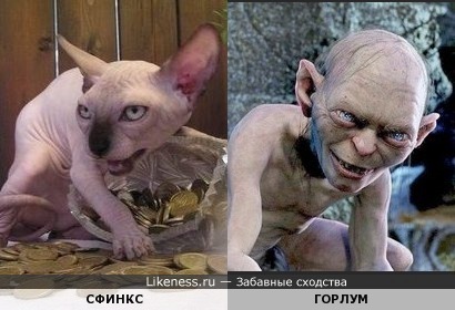Инопланетное чудо