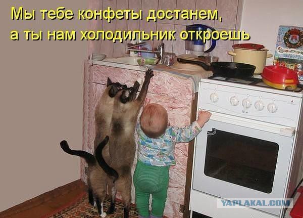 Картинки