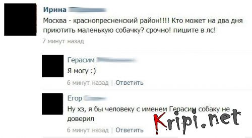 Приколы из соцсетей