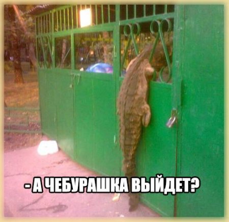 Веселые картиночки для настроения