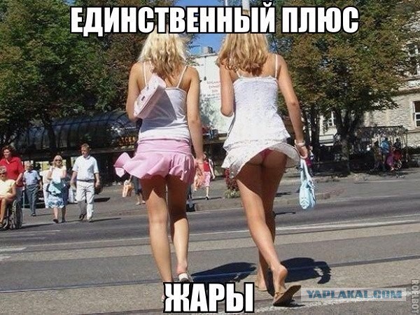 Подборка картинок