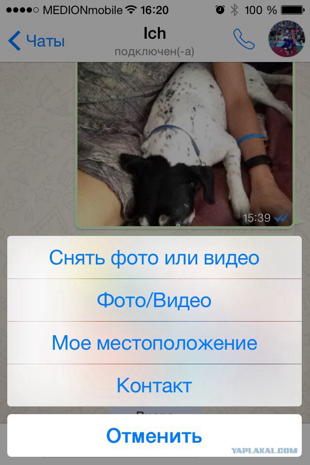 Жизнь как она есть...