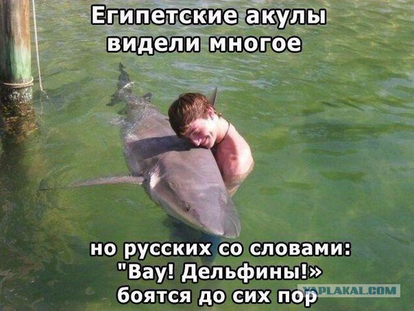 Картинки из инета