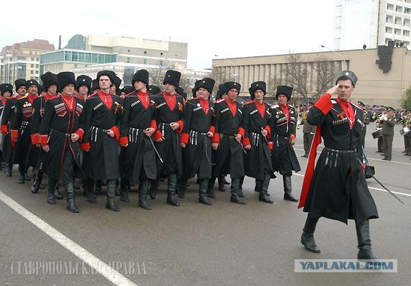 Истеричное быдло и спокойный полицейский!
