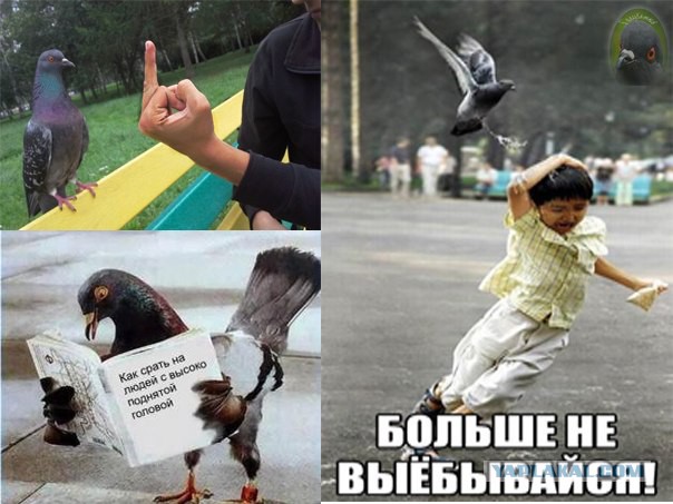 Нас окружают нелюди.