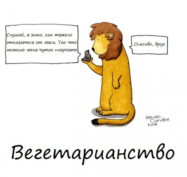 Я не веган!