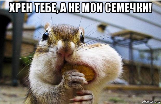 Про Скотину