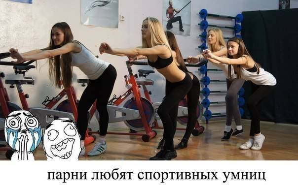 Прикольные картинки