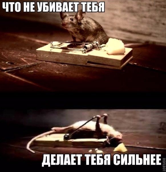 Картинки на пятницу