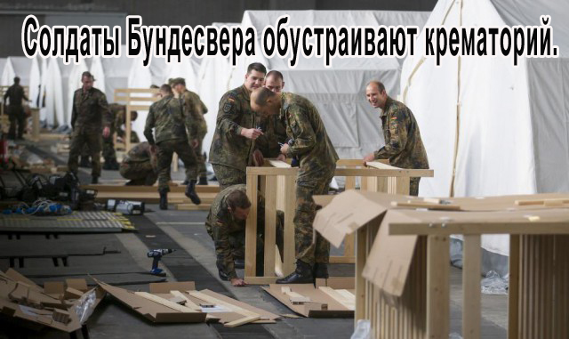 Как в Германии принимают беженцев