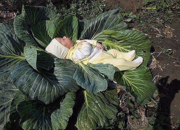 А давайте улыбнёмся