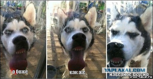 Ребятааа, я его нашел!