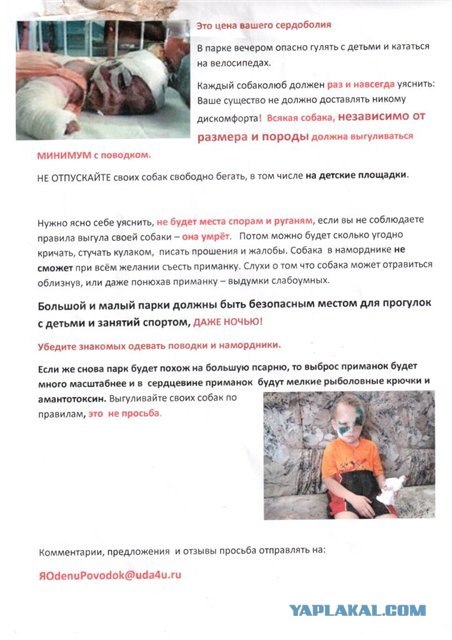 Догхантеры травят собак порошком в парках