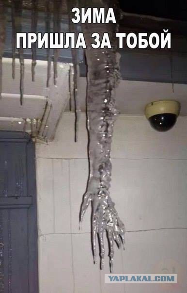 Весёлые картинки