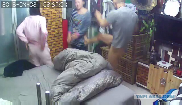 За что я люблю китайцев