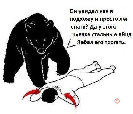 9 смельчаков, обманувших свою смерть