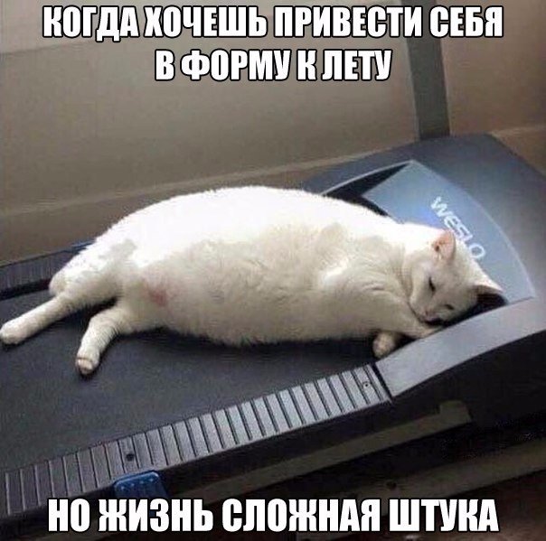 Весёлые картинки