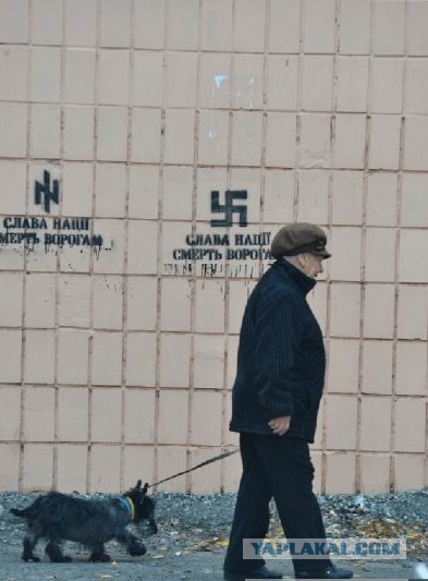 Дневник жительницы Киева