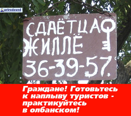 ВЫВЕСКИ, ТАБЛИЧКИ. Смешные и прикольные