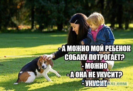 Мама разрешила потрогать ее. Трогать собаку. Ребенок трогает собаку. Смешные картинки как животные трогают детей. Трогать собаку картинка.