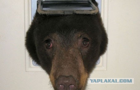 Да как так то?