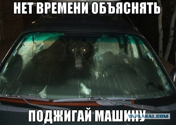 Да ну ее к черту, эту Австралию!