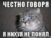 Рено Дастер. Пип-пип-пип