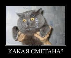Застукали...