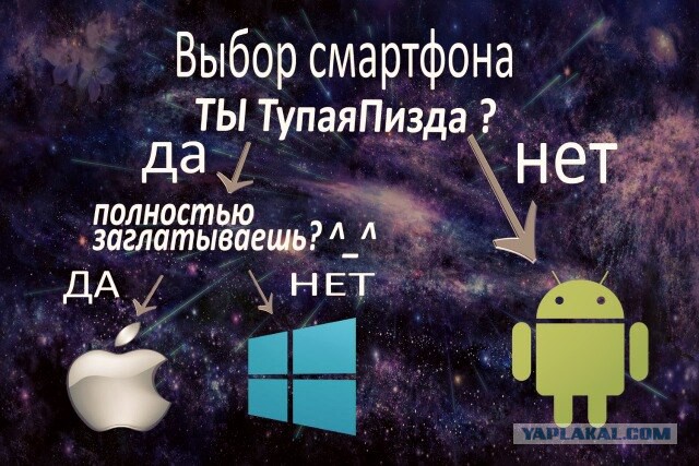 Студентки экономики, Отвечают на каверзные вопросы