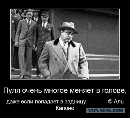 Подборка интересных и веселых картинок