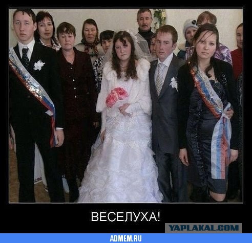 Подборка интересных и веселых картинок