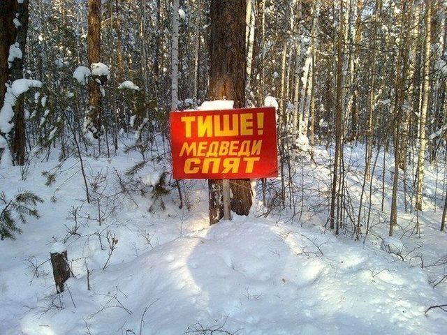 Подборка интересных и веселых картинок