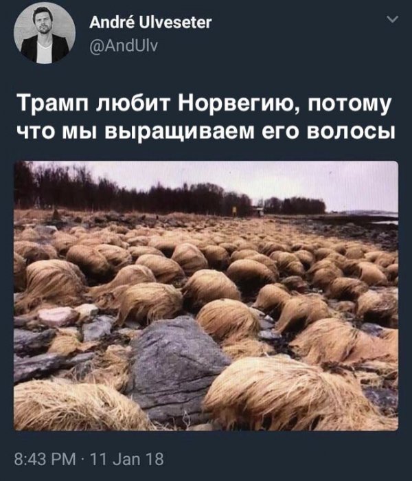 Нестандартный юмор