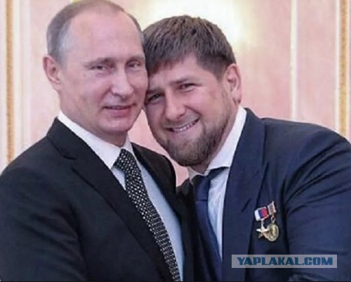 Кадыров в прямом эфире показал объявленного в федеральный розыск бандита