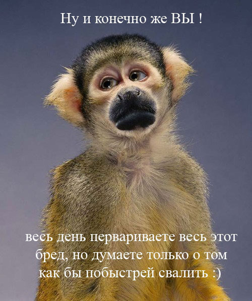 Итоги проверки пользователей