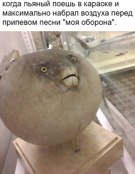 Глазки от работы отрывайте, на картинки повтыкайте!
