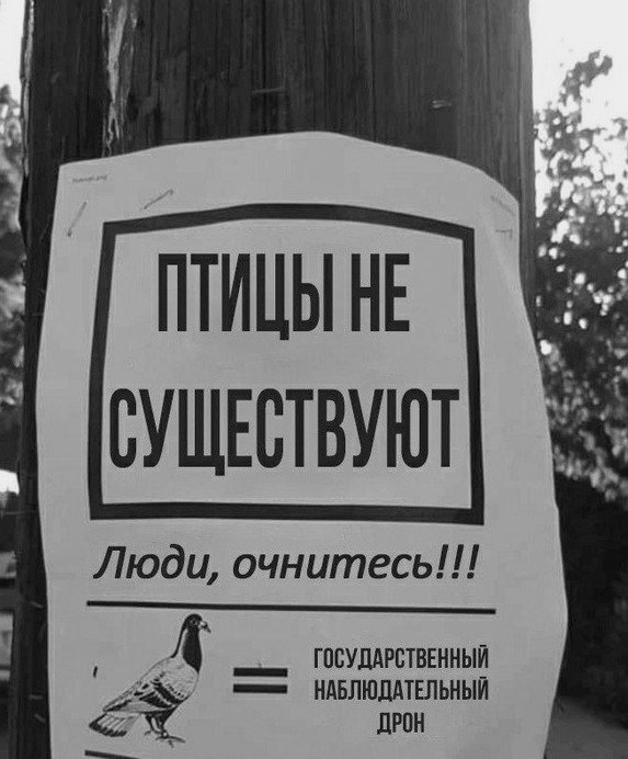 Здорово и вечно