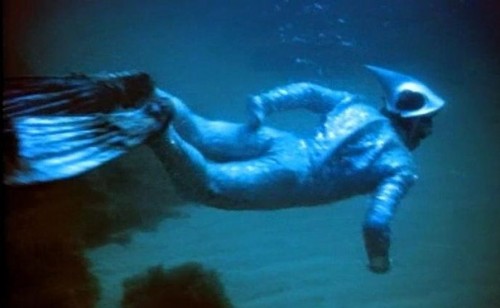 Очень странное морское существо