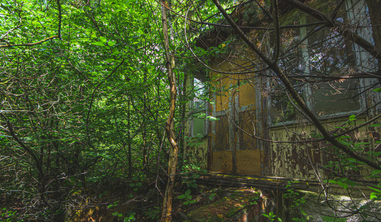 "Закрыт Навсегда" Нашли заброшенный пионерский лагерь на месте которого вырос настоящий лес!