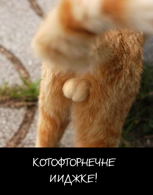 Фотожаба на пятницу