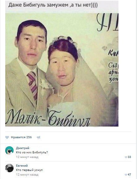 Забавные шутки, картинки и фразы из этих ваших интернетов