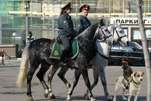 Черный всадник