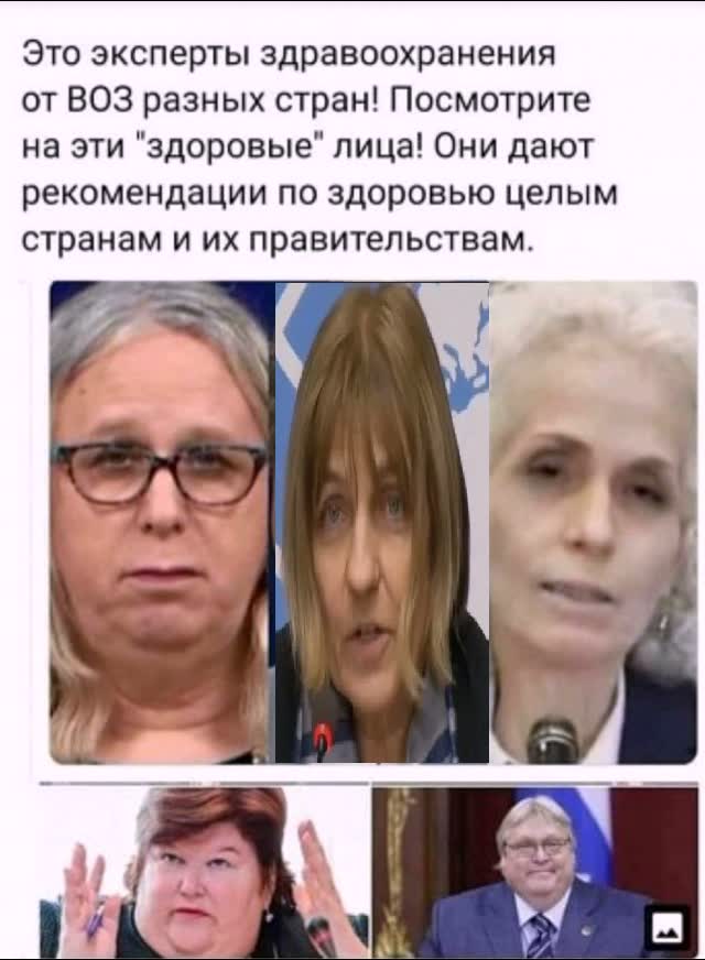Бредзона 25.08.2020