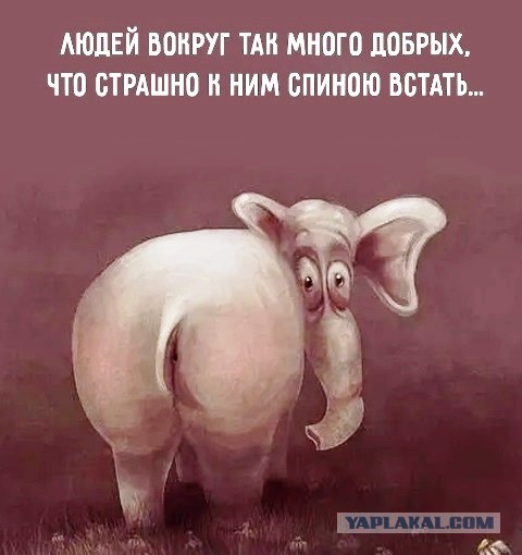 Пятница. И немного слегка пошлых картинок с надписями и без 16+ (04.12)