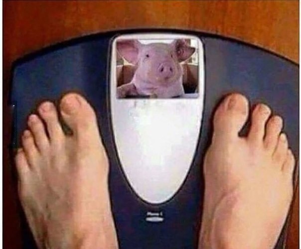 Что женщины думают про холостяков